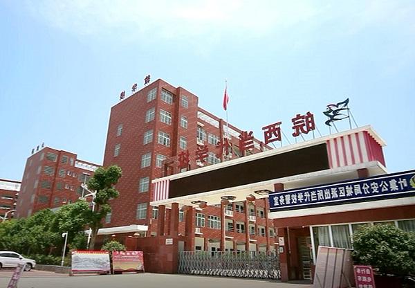 签约皖西当代小学网站建设、手机网站建设、微信建设项目